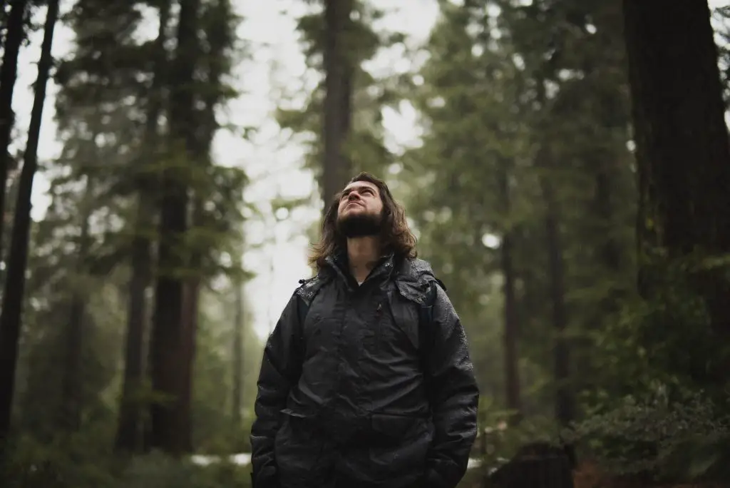 Mann mit schwarzer Jacke, der von hohen Bäumen umgeben nach oben schaut