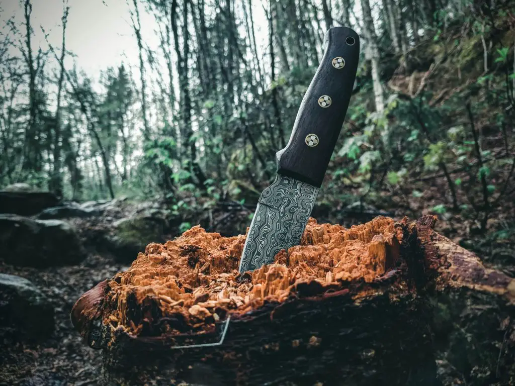 Messer mit schwarzem Griff auf braunem Baumstamm