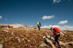 How far can a hiker walk in a day?