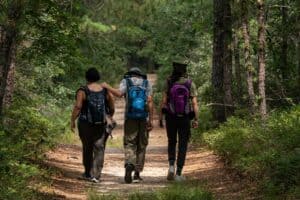 can hiking help you lose weight