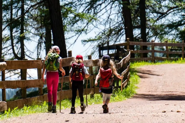 children, girl, hiking, trail, forest road, three, nature, landscape, path, forest, away, woman, person, wanderer, tourism, vacations, sunny, sunny day, mountain hiking, hiking, hiking, hiking, hiking, hiking, sunny day