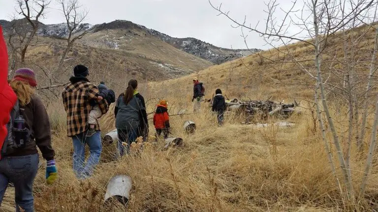 Fire Ecology Hikes